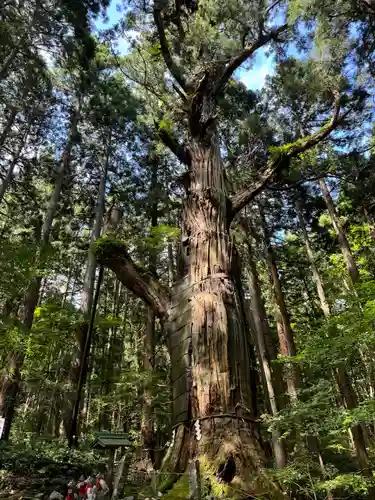 志和稲荷神社(岩手県)
