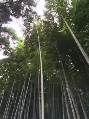 武雄神社(佐賀県)