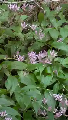 西源院(京都府)