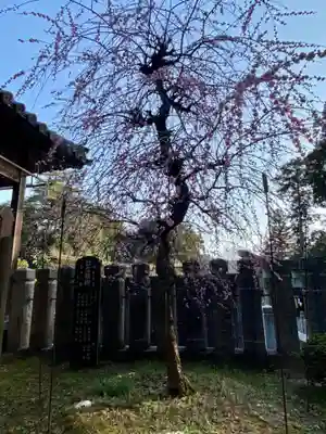 若狭野天満神社(兵庫県)