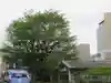 太田姫稲荷神社跡(一口神社)(東京都)