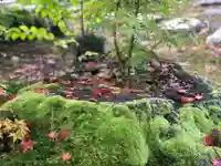 木舟山 順教寺の自然