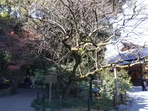 熱田神宮(愛知県)