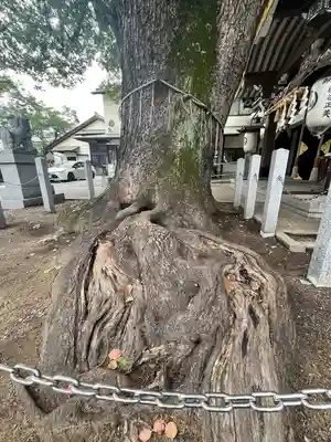 石津神社(大阪府)