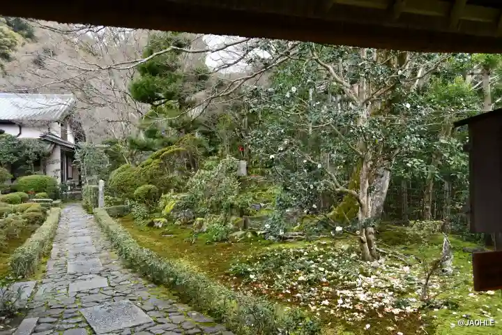 安楽寺の{uncategorized: "未分類", other: "その他", undefined: "問題あり", building: "その他建物", grave: "お墓", sacred_gate: "鳥居", guardian: "狛犬", statue: "像", buddha: "仏像", history: "歴史", nature: "自然", garden: "庭園", animal: "動物", pagoda: "塔", temizu: "手水舎", mountain_gate: "山門・神門", sanctuary: "本殿・本堂", subordinate: "末社・摂社", art: "芸術", scenery: "景色", jizo: "地蔵", ema: "絵馬", goshuin: "御朱印", omikuji: "おみくじ", items: "授与品その他", amulet: "お守り", goshuincho: "御朱印帳", eats: "食事", festival: "お祭り", votive_dance: "神楽", shichigosan: "七五三参", wedding: "結婚式", experience: "体験その他", initially: "初詣", around: "周辺", anti_infection: "感染症対策"}