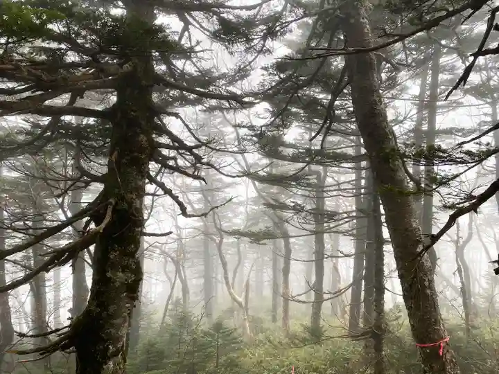 禰固岳神社の周辺