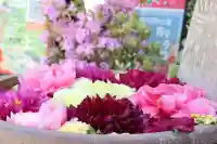 深大寺の{uncategorized: "未分類", other: "その他", undefined: "問題あり", building: "その他建物", grave: "お墓", sacred_gate: "鳥居", guardian: "狛犬", statue: "像", buddha: "仏像", history: "歴史", nature: "自然", garden: "庭園", animal: "動物", pagoda: "塔", temizu: "手水舎", mountain_gate: "山門・神門", sanctuary: "本殿・本堂", subordinate: "末社・摂社", art: "芸術", scenery: "景色", jizo: "地蔵", ema: "絵馬", goshuin: "御朱印", omikuji: "おみくじ", items: "授与品その他", amulet: "お守り", goshuincho: "御朱印帳", eats: "食事", festival: "お祭り", votive_dance: "神楽", shichigosan: "七五三参", wedding: "結婚式", experience: "体験その他", initially: "初詣", around: "周辺", anti_infection: "感染症対策"}