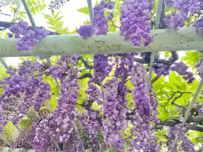 賀茂神社(愛知県)