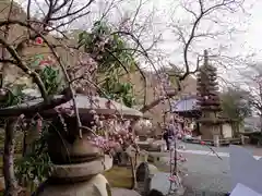 覚園寺(神奈川県)