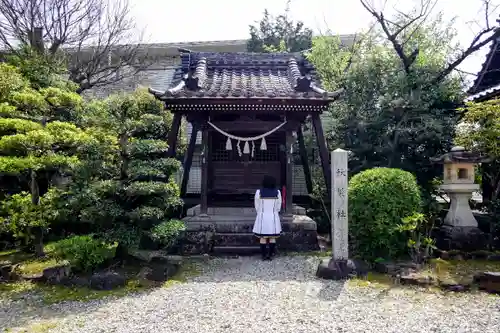 今川八幡宮の本殿・本堂