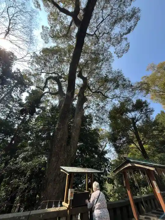 久能山東照宮の{uncategorized: "未分類", other: "その他", undefined: "問題あり", building: "その他建物", grave: "お墓", sacred_gate: "鳥居", guardian: "狛犬", statue: "像", buddha: "仏像", history: "歴史", nature: "自然", garden: "庭園", animal: "動物", pagoda: "塔", temizu: "手水舎", mountain_gate: "山門・神門", sanctuary: "本殿・本堂", subordinate: "末社・摂社", art: "芸術", scenery: "景色", jizo: "地蔵", ema: "絵馬", goshuin: "御朱印", omikuji: "おみくじ", items: "授与品その他", amulet: "お守り", goshuincho: "御朱印帳", eats: "食事", festival: "お祭り", votive_dance: "神楽", shichigosan: "七五三参", wedding: "結婚式", experience: "体験その他", initially: "初詣", around: "周辺", anti_infection: "感染症対策"}