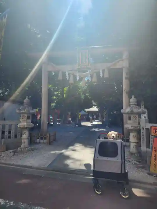 蛇窪神社(東京都)
