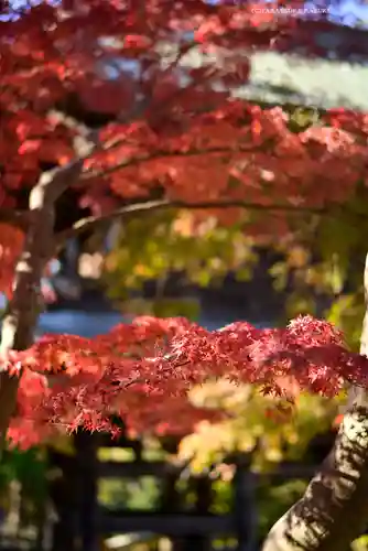 円覚寺(神奈川県)
