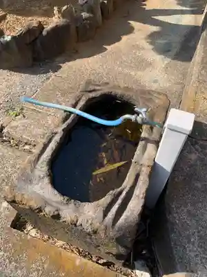 三光院の手水舎