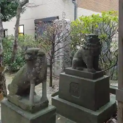 上平井天祖神社の狛犬