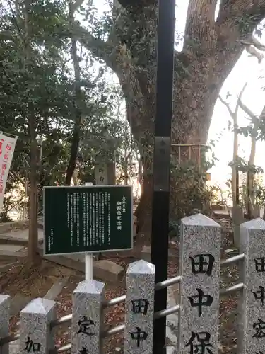 旭山神社の建物その他