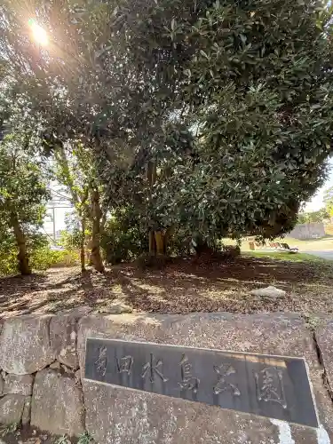 菊田神社の{uncategorized: "未分類", other: "その他", undefined: "問題あり", building: "その他建物", grave: "お墓", sacred_gate: "鳥居", guardian: "狛犬", statue: "像", buddha: "仏像", history: "歴史", nature: "自然", garden: "庭園", animal: "動物", pagoda: "塔", temizu: "手水舎", mountain_gate: "山門・神門", sanctuary: "本殿・本堂", subordinate: "末社・摂社", art: "芸術", scenery: "景色", jizo: "地蔵", ema: "絵馬", goshuin: "御朱印", omikuji: "おみくじ", items: "授与品その他", amulet: "お守り", goshuincho: "御朱印帳", eats: "食事", festival: "お祭り", votive_dance: "神楽", shichigosan: "七五三参", wedding: "結婚式", experience: "体験その他", initially: "初詣", around: "周辺", anti_infection: "感染症対策"}