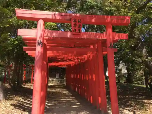 土呂八幡宮の鳥居