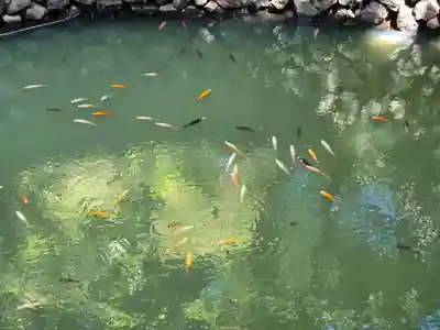 唐澤山神社(栃木県)