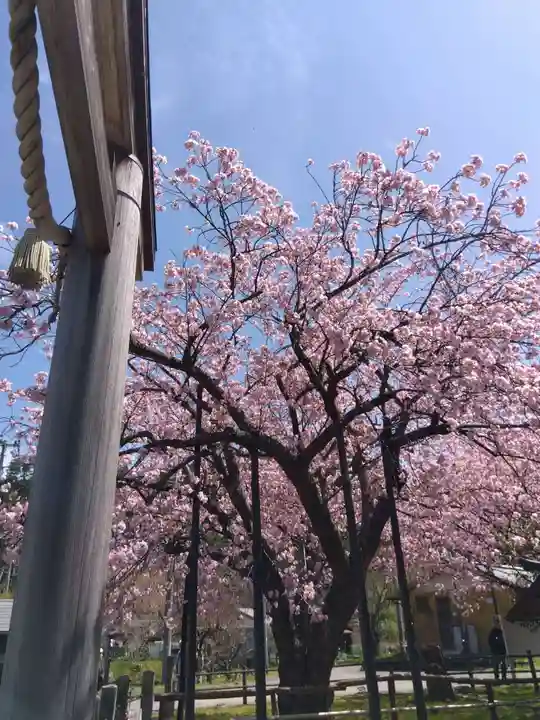 春日神社(京都府)