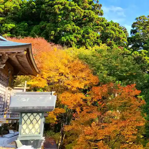 秋葉山本宮 秋葉神社 上社の庭園