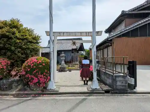 須賀神社（安楽町）の鳥居