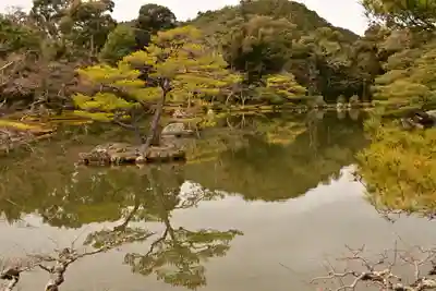 鹿苑寺(金閣寺)(京都府)