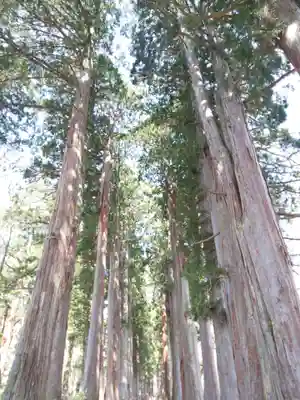 戸隠神社奥社(長野県)