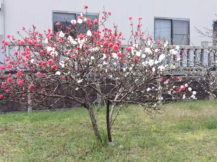 住吉神社(岐阜県)