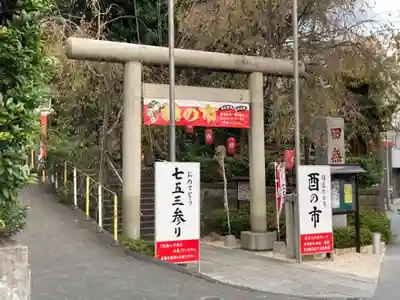 田無神社の鳥居