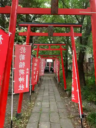 於菊稲荷神社の鳥居