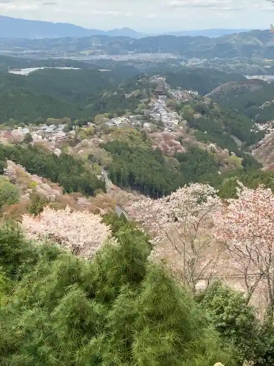 𠮷水神社(吉水神社)の景色