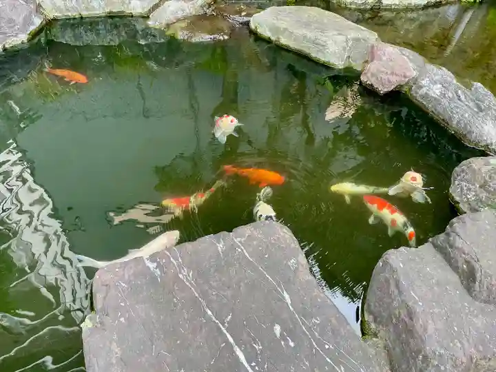 甚行寺(神奈川県)