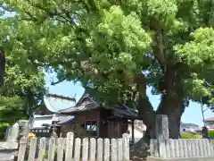 上代阿蘇神社(熊本県)