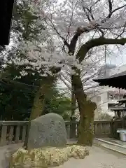 宇都宮二荒山神社(栃木県)