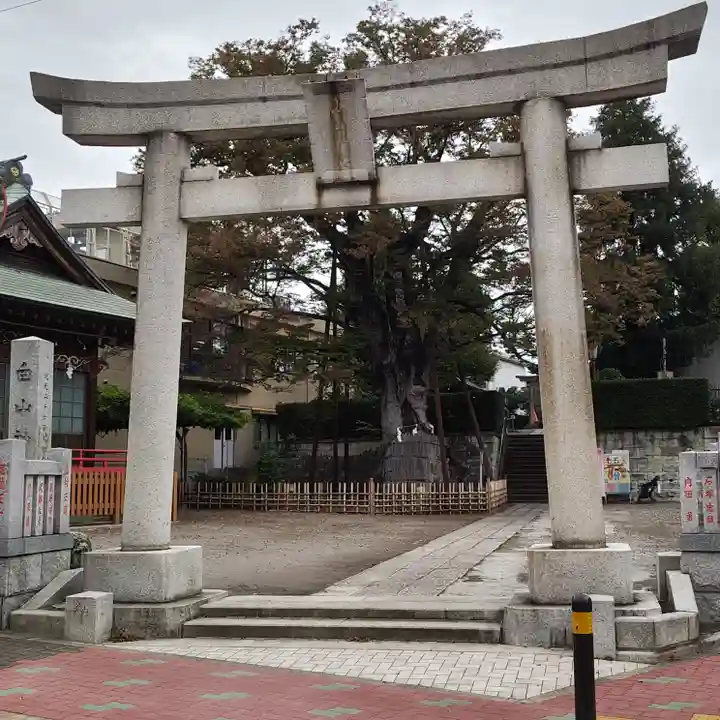 白山神社の鳥居