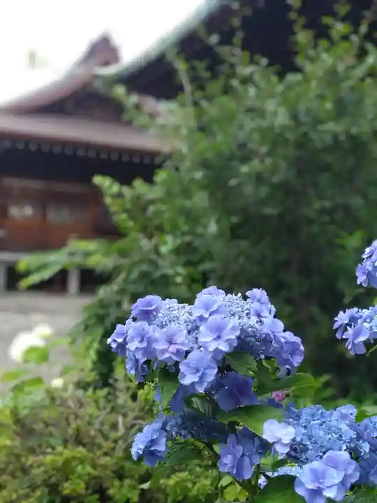 本郷氷川神社(東京都)