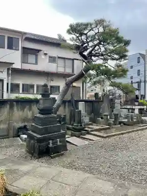 瑞松院の{uncategorized: "未分類", other: "その他", undefined: "問題あり", building: "その他建物", grave: "お墓", sacred_gate: "鳥居", guardian: "狛犬", statue: "像", buddha: "仏像", history: "歴史", nature: "自然", garden: "庭園", animal: "動物", pagoda: "塔", temizu: "手水舎", mountain_gate: "山門・神門", sanctuary: "本殿・本堂", subordinate: "末社・摂社", art: "芸術", scenery: "景色", jizo: "地蔵", ema: "絵馬", goshuin: "御朱印", omikuji: "おみくじ", items: "授与品その他", amulet: "お守り", goshuincho: "御朱印帳", eats: "食事", festival: "お祭り", votive_dance: "神楽", shichigosan: "七五三参", wedding: "結婚式", experience: "体験その他", initially: "初詣", around: "周辺", anti_infection: "感染症対策"}