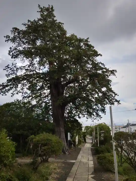 豊景神社(福島県)
