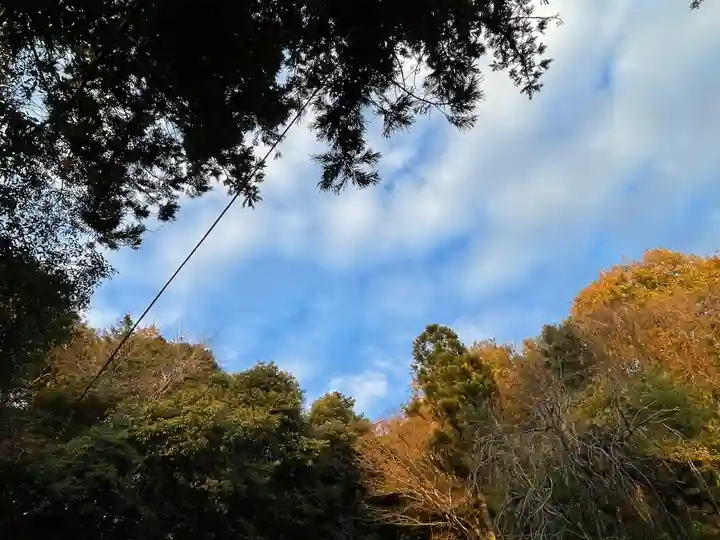 聖神社(埼玉県)