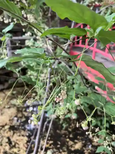 白石神社(北海道)
