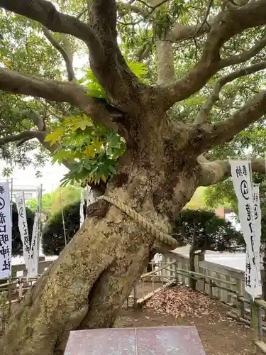 龍口明神社(神奈川県)