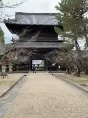 大樹寺（松安院大樹寺）の山門