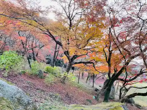 宝満宮竈門神社(福岡県)