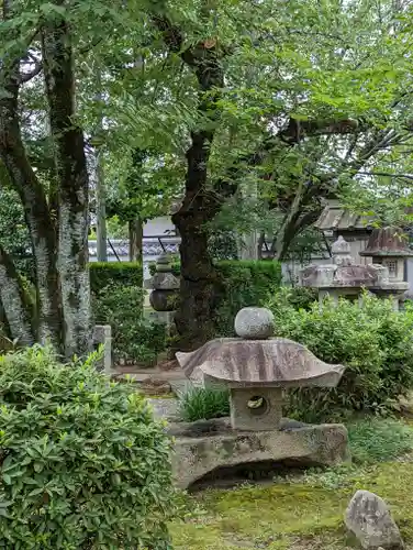 本満寺（本願満足寺）(京都府)
