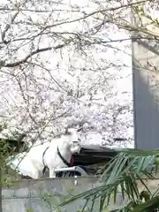  湊八幡神社(福井県)