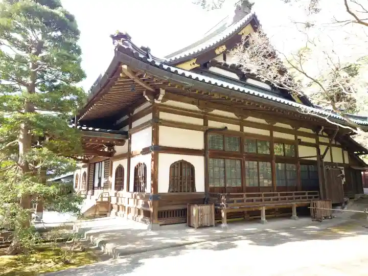 妙本寺の{uncategorized: "未分類", other: "その他", undefined: "問題あり", building: "その他建物", grave: "お墓", sacred_gate: "鳥居", guardian: "狛犬", statue: "像", buddha: "仏像", history: "歴史", nature: "自然", garden: "庭園", animal: "動物", pagoda: "塔", temizu: "手水舎", mountain_gate: "山門・神門", sanctuary: "本殿・本堂", subordinate: "末社・摂社", art: "芸術", scenery: "景色", jizo: "地蔵", ema: "絵馬", goshuin: "御朱印", omikuji: "おみくじ", items: "授与品その他", amulet: "お守り", goshuincho: "御朱印帳", eats: "食事", festival: "お祭り", votive_dance: "神楽", shichigosan: "七五三参", wedding: "結婚式", experience: "体験その他", initially: "初詣", around: "周辺", anti_infection: "感染症対策"}