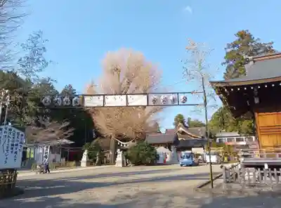亀ケ池八幡宮(神奈川県)