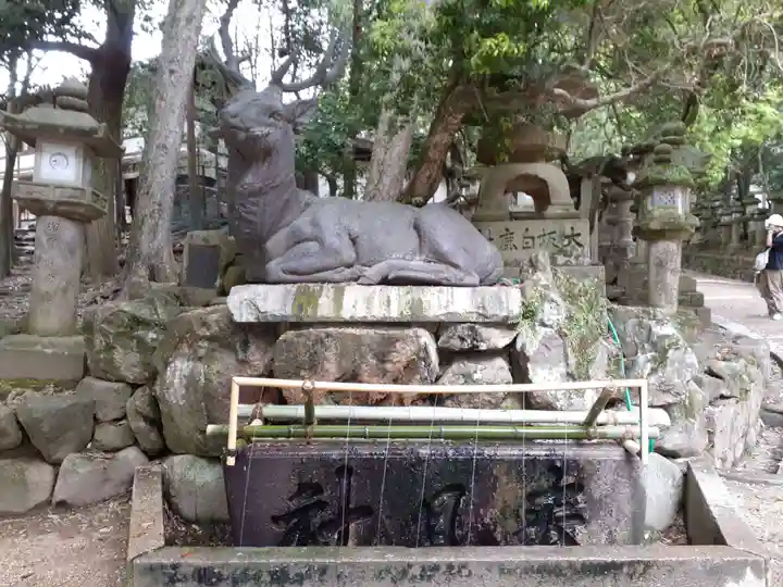 春日大社(奈良県)