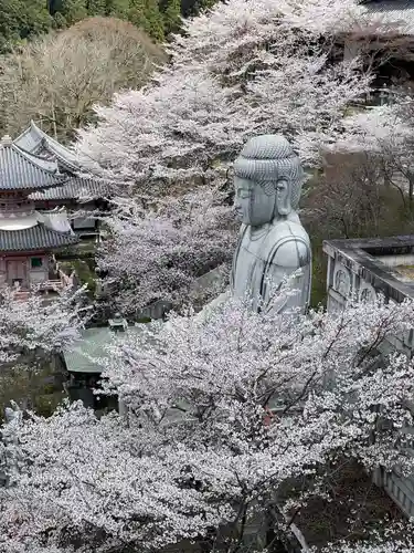 南法華寺（壷阪寺）(奈良県)
